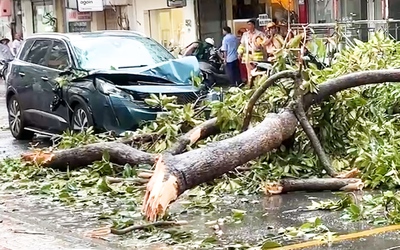 Mưa dông, cây xanh ngã đổ đè nhiều ô tô ở TP.HCM