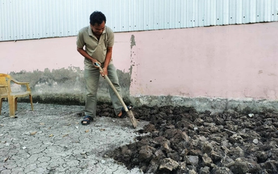 Nộp tiền 2 tháng nhưng nông dân Cà Mau vẫn chưa nhận được lúa giống