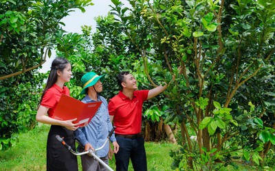 Agribank - Doanh nghiệp ESG Việt Nam xanh 2025