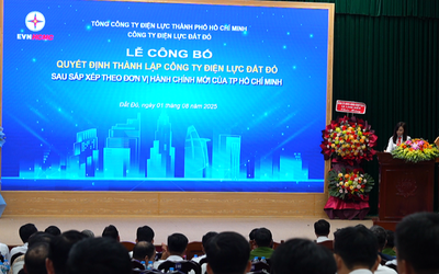 EVNHCM ra mắt 9 công ty điện lực mới