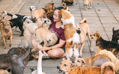 Người phụ nữ lập trạm 'chữa lành', cứu hộ chó mèo bị bỏ rơi
