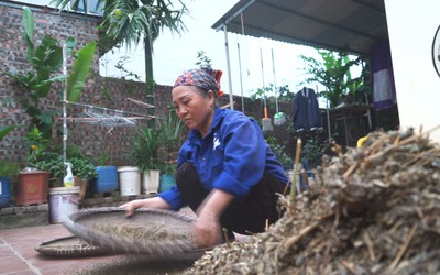 Bà nội đi làm thuê nuôi ước mơ đại học cho cháu gái sau hàng loạt biến cố