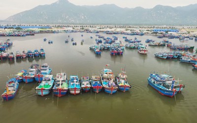 Cà Ná hướng đến tương lai đầy kỳ vọng