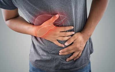 Gan - cơ quan dễ bị tổn thương khi mắc sốt xuất huyết