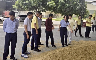PVCFC tăng tốc mở rộng thị phần tại Campuchia