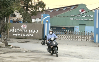 The Coffee House thông báo dừng bán trà vải liên quan Đồ hộp Hạ Long