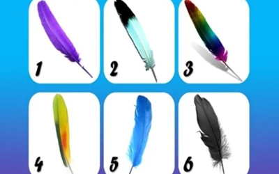 Quiz: Bạn thông minh, ham học hỏi hay là người giàu lòng trắc ẩn