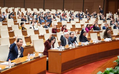 Giới thiệu 122 người ứng cử đại biểu Quốc hội khóa XVI chuyên trách ở Trung ương