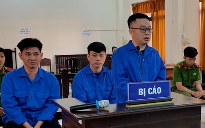 Giả khách vay đáo hạn ngân hàng để chiếm đoạt tiền, nhóm bị cáo lãnh án tù