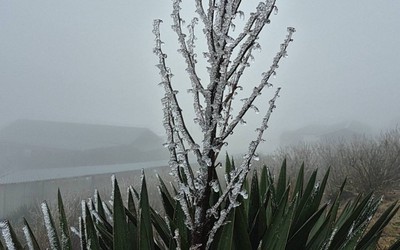 Cận cảnh băng giá ở đỉnh Mẫu Sơn khi nhiệt độ còn -0,1 độ C