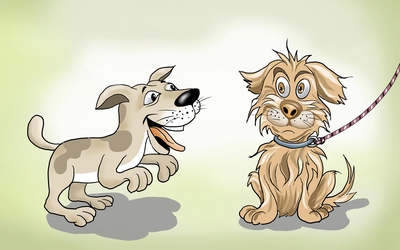 Chó hại chủ là đây!