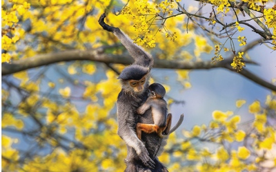 Cuộc thi ảnh Mùa xuân Bính Ngọ 2026 'nói không' với ảnh chỉnh sửa, tạo ra bằng AI