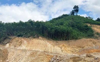 Chủ tịch Ủy ban Mặt trận Tổ quốc TP Đà Nẵng: 'Sẽ tổ chức hội thảo đánh giá toàn diện về rừng keo'