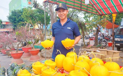 Dưa hấu vuông, dưa hấu thỏi vàng có chữ tài, lộc đắt hàng ngày Tết