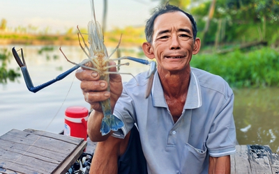 Câu tôm cá đầu năm Bính Ngọ trên sông Hậu ở Long Xuyên