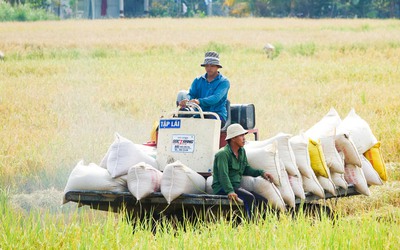 An Giang làm gì để phòng chống hạn, mặn mùa khô 2026?