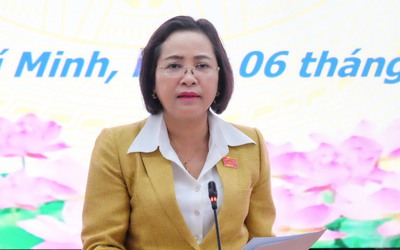 Phó chủ tịch Quốc hội: TP.HCM triển khai công tác bầu cử đúng tiến độ, bước vào giai đoạn 'nước rút'