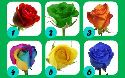 Quiz: Bạn là người dễ thích nghi với những thay đổi cuộc sống