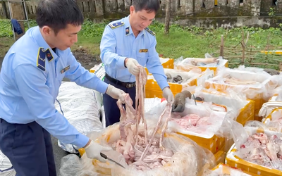 Phát hiện hơn 2,6 tấn nội tạng động vật không rõ nguồn gốc chở trên xe tải