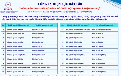 Công ty Điện lực Đắk Lắk thay đổi tên các đội quản lý điện khu vực