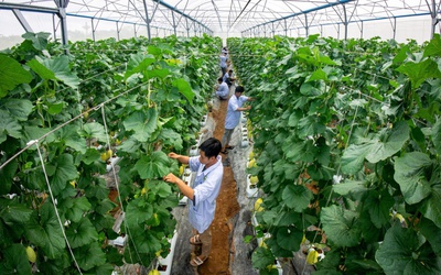 Trường đại học Cửu Long: Tuyển sinh đa ngành, nhiều chính sách hỗ trợ sinh viên