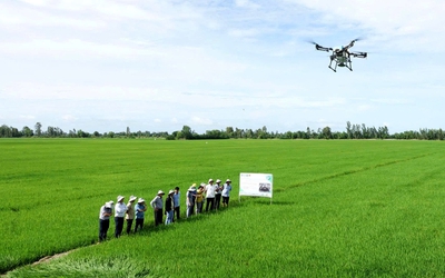 1 triệu ha lúa chất lượng cao: Có lời nhưng nông dân chưa mặn mà, vì sao?