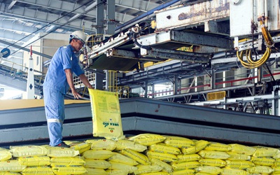 Chủ động nguồn cung để hạn chế tác động từ giá phân bón tăng