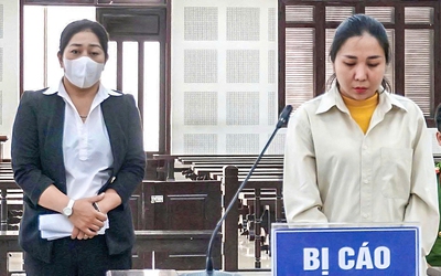 Lừa đảo góp vốn bất động sản: Nhận 120 tỉ đồng góp vốn, chiếm đoạt hơn 12 tỉ