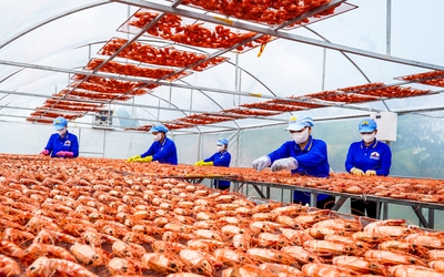 Cà Mau thực hiện ‘5 thông’ trong phát triển doanh nghiệp