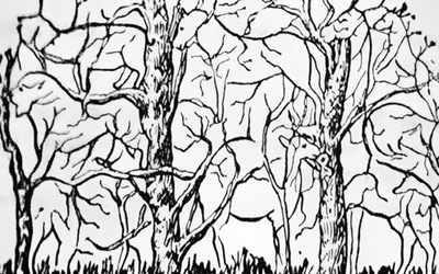 Quiz: Bạn quyết đoán, điềm tĩnh hay đầy tham vọng?