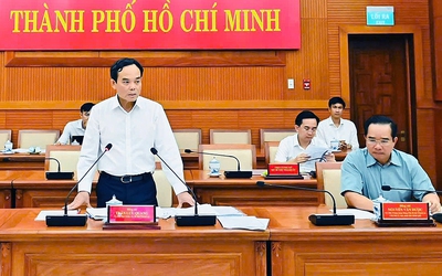 TP.HCM họp trực tuyến với 168 phường, xã, đặc khu về công tác chuẩn bị bầu cử