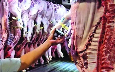 Bộ Y tế kiểm tra đột xuất bếp ăn tập thể tại Hà Nội và Ninh Bình