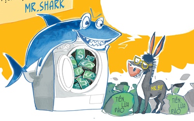 Mr. Shark và Mr. Bịp tuy hai mà một