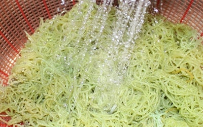 Xử phạt vi phạm môi trường: Đâu là ranh giới giữa răn đe và 'khai tử'?