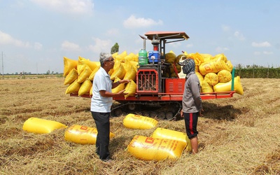Yêu cầu chuyển từ tư duy sản xuất sang kinh tế nông nghiệp xanh