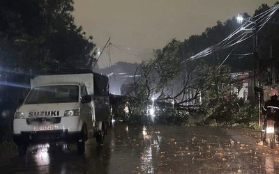 Bắc Bộ có nơi mưa to đêm nay, cảnh báo dông lốc, mưa đá