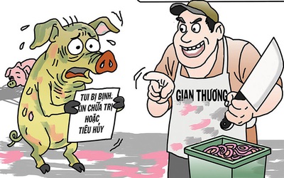 Thịt heo bệnh vào trường học: Nghiêm trị để ngăn tái diễn
