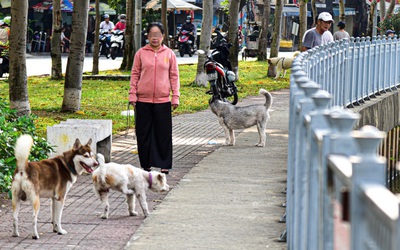 Nuôi chó: Làm ơn hãy biết ngượng và biết điều!