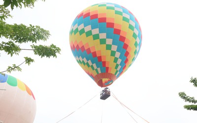 Du khách thích thú ngồi trên khinh khí cầu ngắm hàng cây di sản sưa vàng cổ thụ