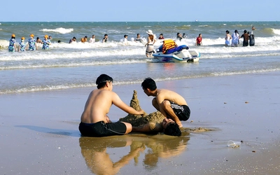 Sâu biển và sứa giảm rõ rệt, biển Vũng Tàu đông khách trước kỳ nghỉ lễ