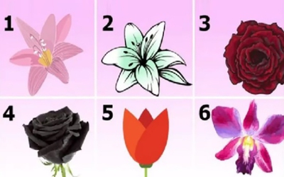 Quiz: Bạn cuốn hút, sáng tạo hay giàu nghị lực?