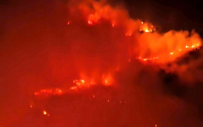 Cháy khoảng 4,6ha rừng tràm sản xuất ở Cô Tô