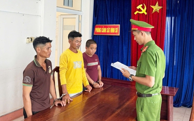 Đánh người vì cho rằng bóp còi xe làm đàn trâu hoảng sợ, 3 người bị bắt giam