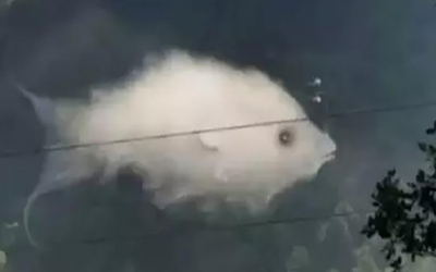 Quiz: Bạn là người mạnh mẽ nhưng cũng rất nhạy cảm?