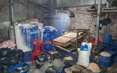 Khởi tố người phụ nữ làm giá đỗ bằng hóa chất độc hại, bán hơn 500 tấn ra chợ đầu mối