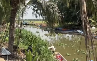 Người dân lại thấy cá sấu dưới kênh, chính quyền thông báo cảnh giác