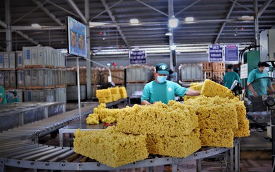 Tập đoàn Công nghiệp Cao su Việt Nam đặt mục tiêu năm 2030 doanh thu khoảng 50.000 tỷ đồng