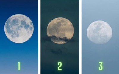 Quiz: Bạn là người tốt bụng, giàu lòng vị tha?