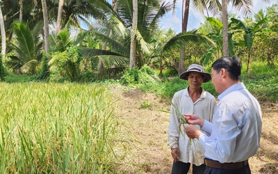 Vụ 77 viên chức Trung tâm khuyến nông bị 'treo' lương: Chi trả tính từ tháng 3-2026