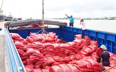 Giá gạo xuất khẩu Việt Nam tăng trở lại